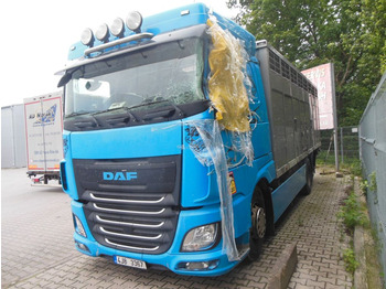 Dyretransport lastebil DAF XF 106 460