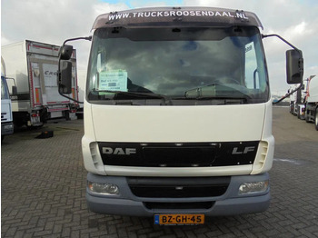 Planbil DAF LF 45.150 + MANUAL + Spring /Spring: bilde 2