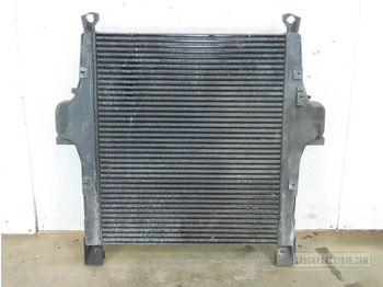 Radiator for Lastebil Iveco Cooling System Interkoeler Iveco: bilde 2